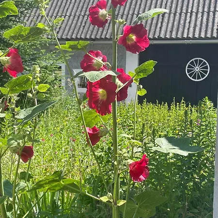 Stodola Pod Zvicinou Horní Brusnice
